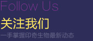 關(guān)注美藤果