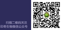印奇最新動(dòng)態(tài)
