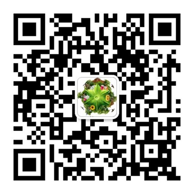 關(guān)注印奇果微信公眾號(hào)